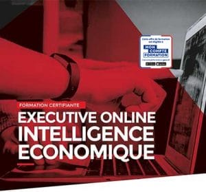 Executive online intelligence economique